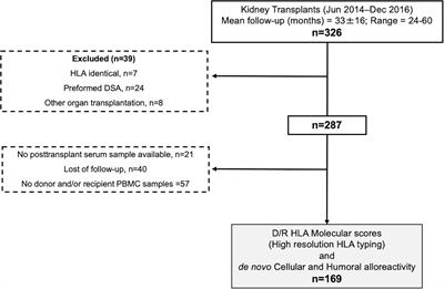 Donor/Recipient HLA Molecular Mismatch Scores Predict Primary Humoral and Cellular Alloimmunity in Kidney Transplantation